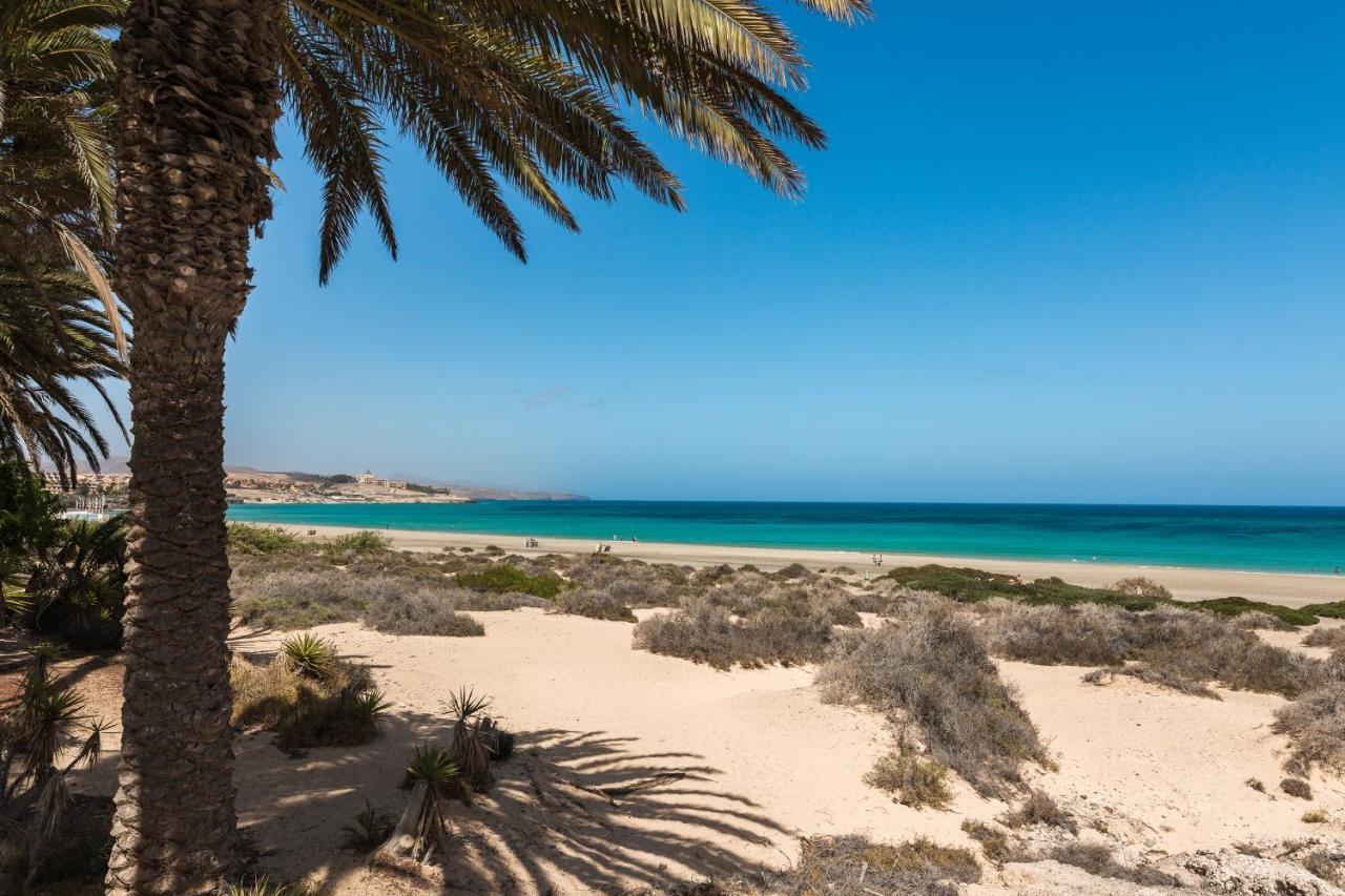 Home2Book Aloha Palm كوستا كالما المظهر الخارجي الصورة