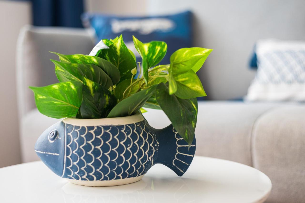 Home2Book Aloha Palm كوستا كالما المظهر الخارجي الصورة