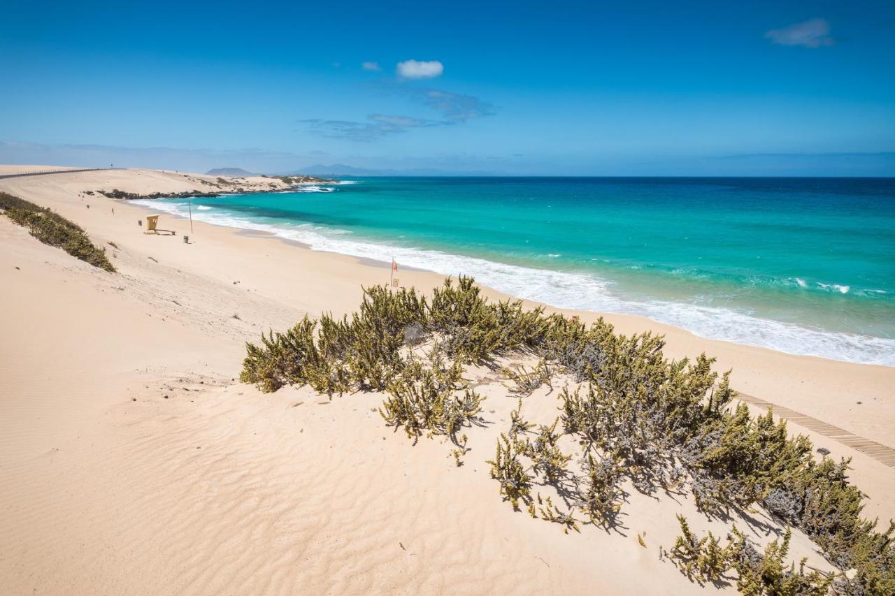 Home2Book Aloha Palm كوستا كالما المظهر الخارجي الصورة